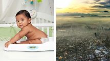 contaminacion embarazo 132847