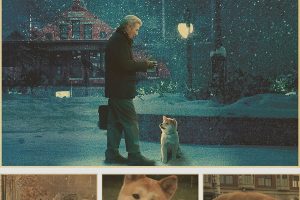 Siempre a tu lado: una historia única