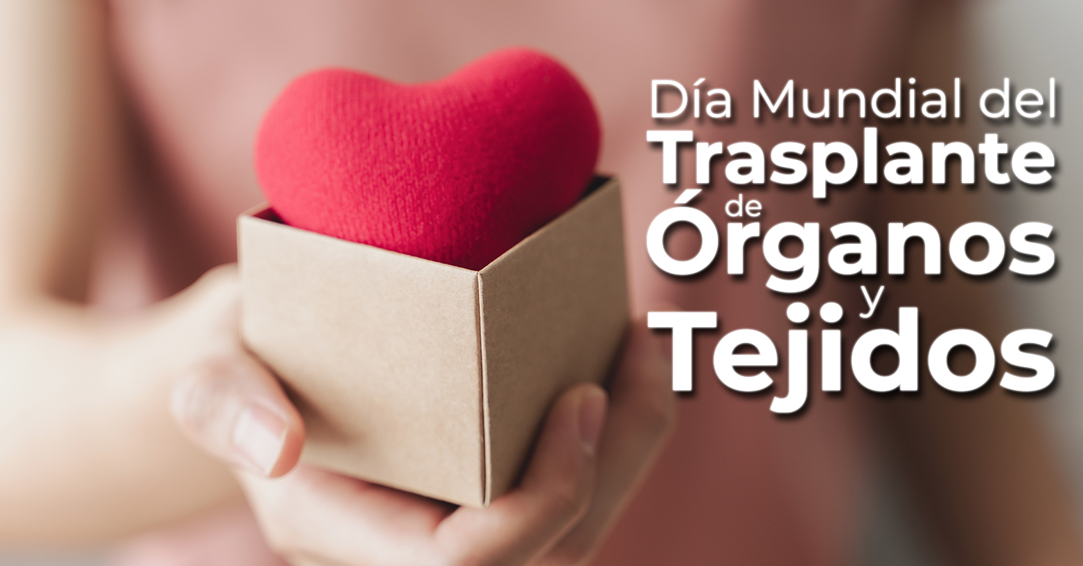 día de transplante de órganos