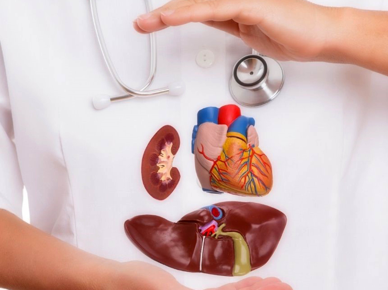 donación de órganos