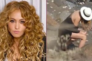 f608x342 50264 79987 0