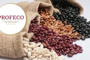 Profeco informa sobre precios mínimos y máximos del frijol 1 El frijol es un alimento fundamental en la dieta de los y las mexicanas, ya sea como plato principal, guarnición o complemento de un régimen alimenticio.