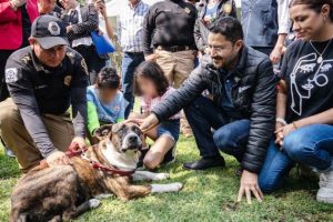 Inauguran ampliación de Ciudad de los perros y gatos en CDMX 5 f960x540 548341 622416 7