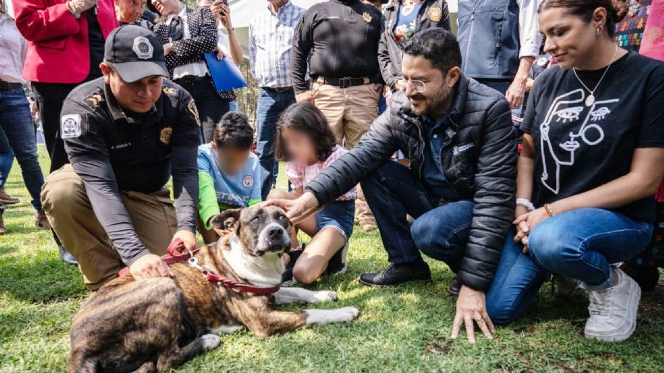 f960x540 548341 622416 7