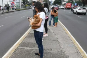 Hoy probarán la alerta sísmica en celulares con miras al simulacro nacional del 19 de septiembre