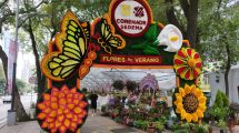 festival flores verano reforma 2023