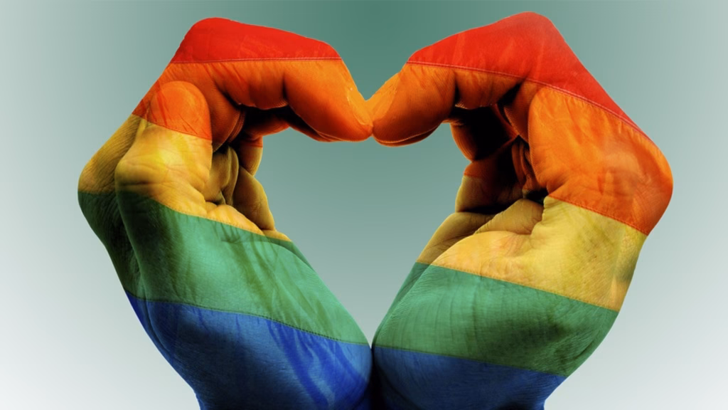 La historia de la bandera LGBT+: el origen y significado de cada color 8 image 240