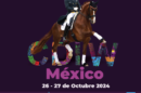 Vino y Caballos en Dressage & Wine Festival: Un Evento Ecuestre de Clase Mundial
