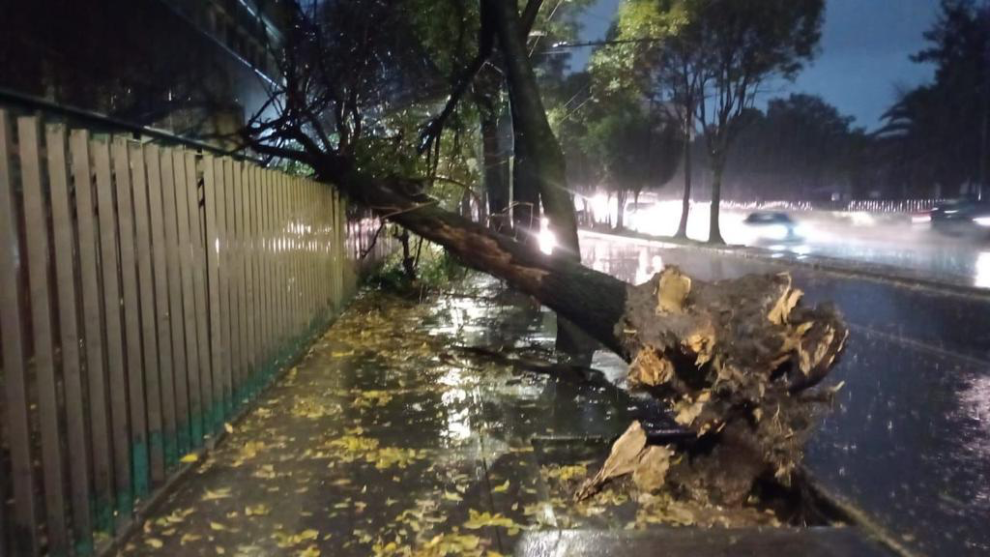 Respuesta Ejemplar: Azcapotzalco Supera la Alerta Roja por Lluvias con Saldo Blanco 1 image large