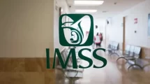 imss tramites subcontratacion.jpg 1902800913