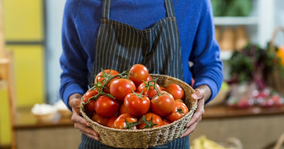 Jitomates frescos y de calidad, Profeco te dice cómo seleccionarlos 1 Jitomates frescos y de calidad, Profeco te dice cómo seleccionarlos