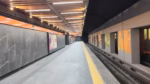 El Metro Auditorio renace: Reabre sus puertas con murales de ajolotes tras cinco meses de renovación 2 metro auditorio
