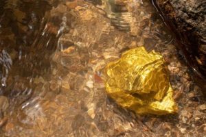 Un gigante dorado que impulsa el futuro de México