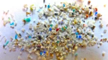 microplasticos