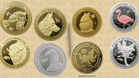 moneda conmemorativa del ajolote