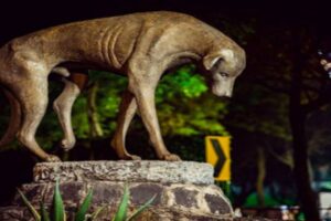 La Inspiradora Historia de «Peluso»: Un monumento al amor canino en la CDMX