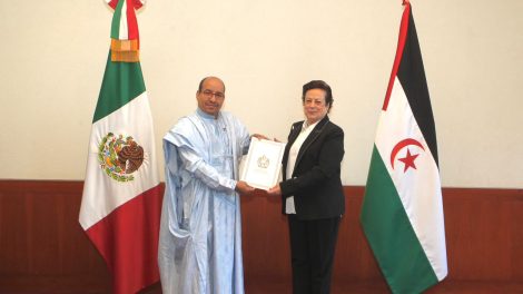 mujtarmx001