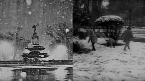 nevada cdmx 1967