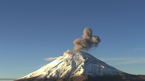 p0601223