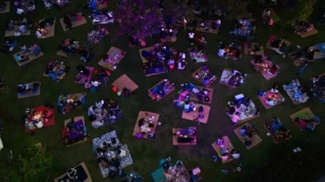 picnic nocturno chapultepec mayo 1024x683 1