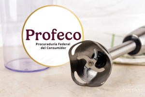 Trituran, baten y emulsionan: estas son las licuadoras de inmersión evaluadas por Profeco