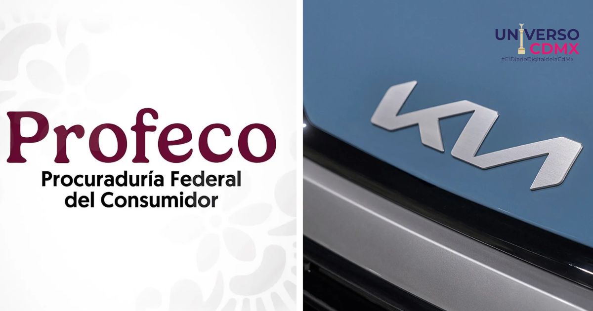 profeco2