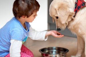 proyectop article da90576551e1b3dcb48a31206e47e32b jpg 1000x665 100 9315