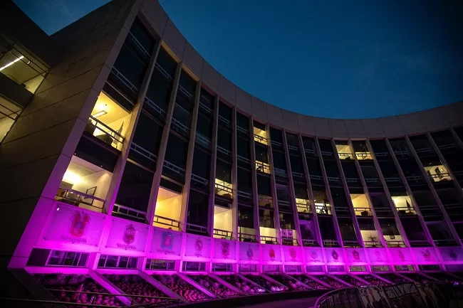 senadoPINTADOrosa jpeg