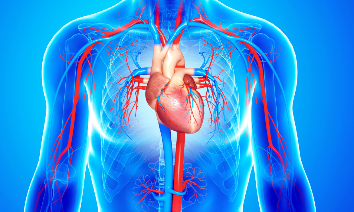 sistema respiratorio