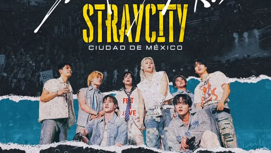 stray city