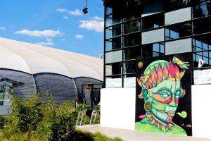 thumb 4835 1153 706 0 0 crop