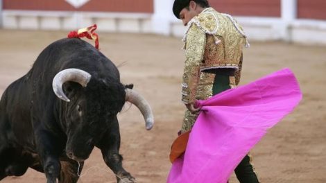 Congreso de CDMX analiza la “Tauromaquia” en parlamento abierto