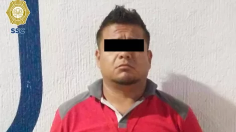 turbina perrita atropellada cdmx