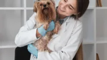 veterinario que controla salud cachorro